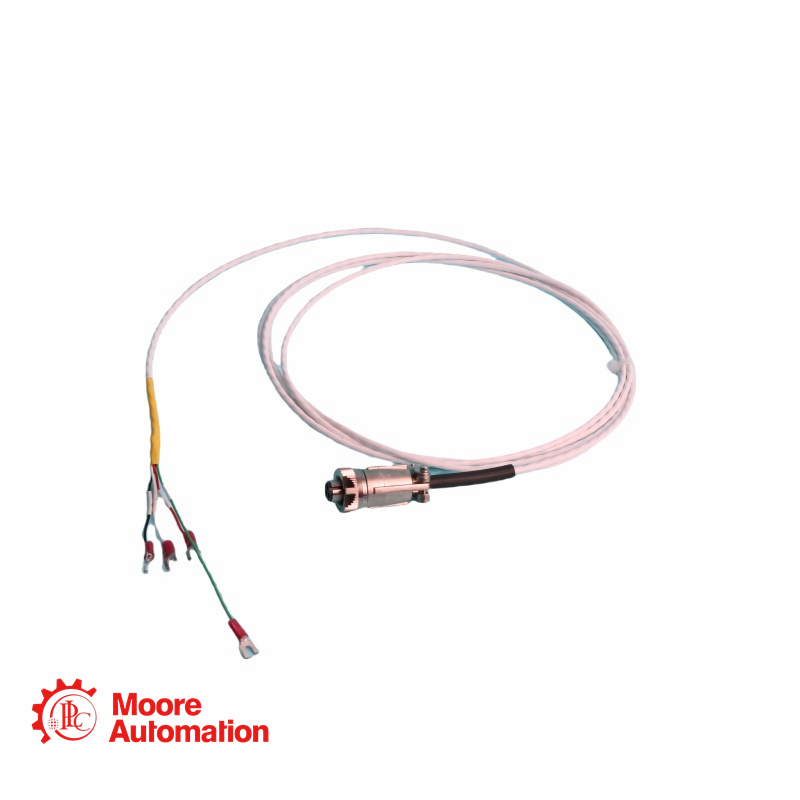 เครื่องวัดความเร่ง Bently Nevada 16925-50